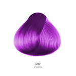 M22-Violeta